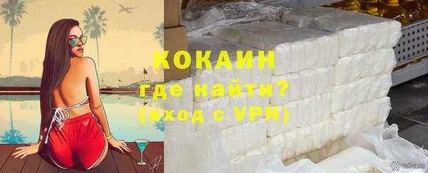 индика Лихославль