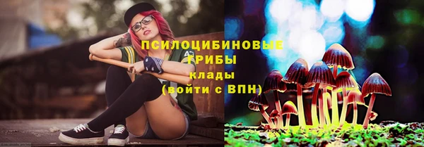 spice Лиски