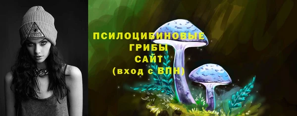 молекула духа Липки