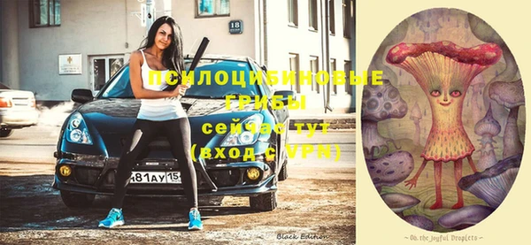 spice Лиски