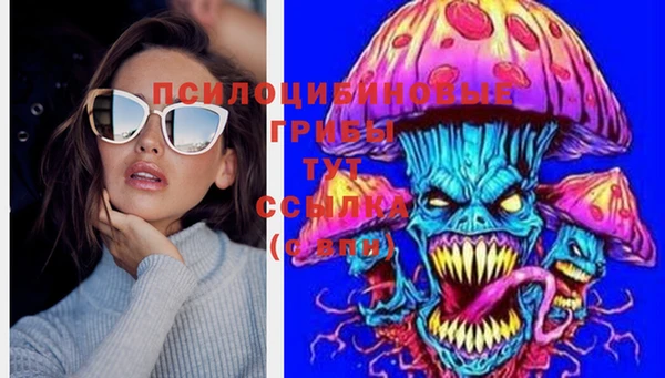 индика Лихославль