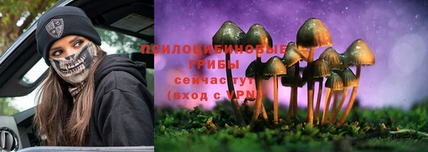 apvp Пенза